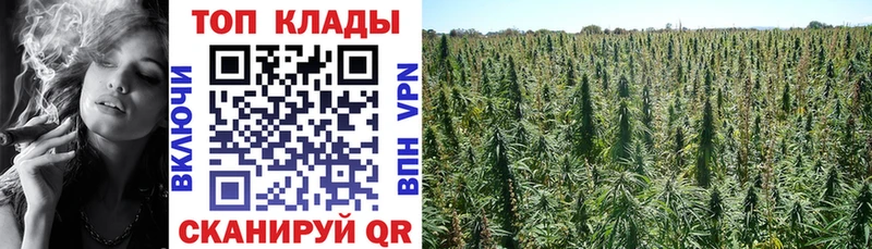 Купить наркотик аптеки Кудымкар ГАШ  Амфетамин  Псилоцибиновые грибы  Cocaine  МЕФ 