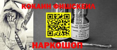 крисы Кинель