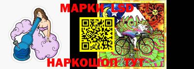 крисы Кинель