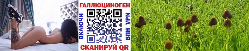 Галлюциногенные грибы Magic Shrooms  закладка  мега зеркало  Кудымкар 
